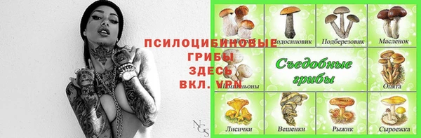 мяу мяу кристалл Переславль-Залесский