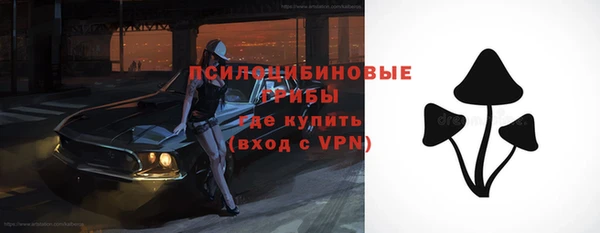 мяу мяу мука Абинск
