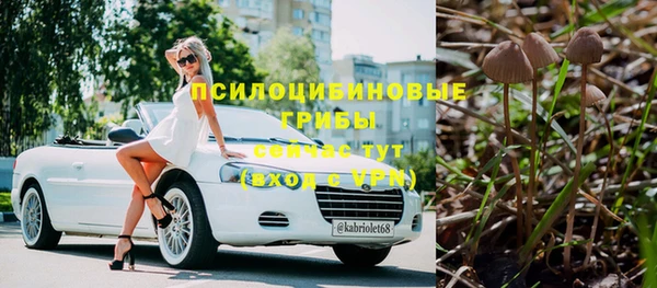 хмурый Алапаевск