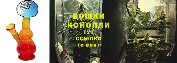 мяу мяу кристалл Переславль-Залесский