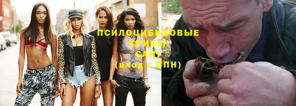 Альфа ПВП Пестово