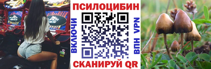 Галлюциногенные грибы Magic Shrooms Инза